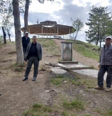 Ekiplerimiz Yeşil Alanlarda Bakım-Onarım ve İlaçlama Çalışmalarına Devam Ediyor.